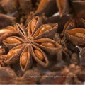 Chinese Star Anise, Illicium Verum